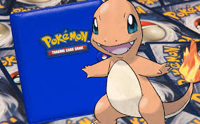 Binder For Pokemon